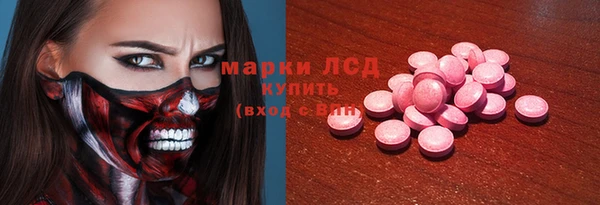 индика Аркадак