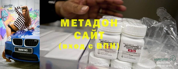 индика Аркадак