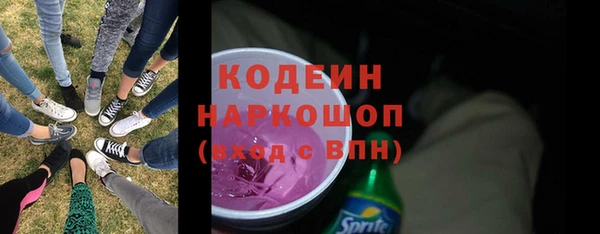 индика Аркадак