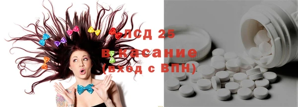 индика Аркадак