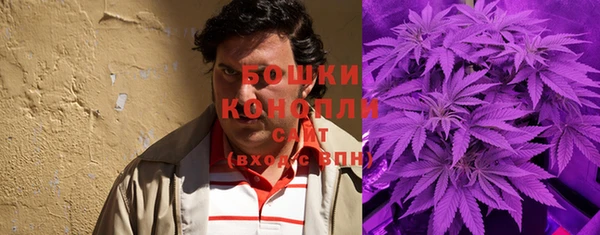 прущие крисы Пересвет