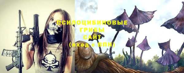 индика Аркадак