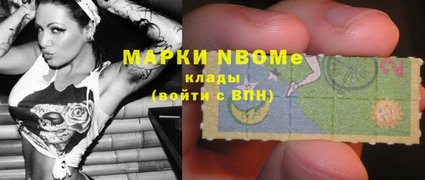 индика Аркадак