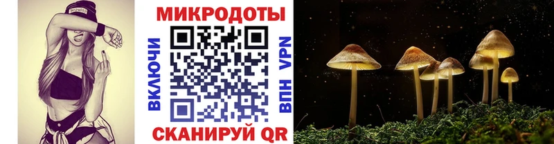Галлюциногенные грибы MAGIC MUSHROOMS  как найти закладки  Унеча 